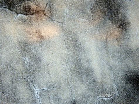 Dark Grey Concrete Texture Free Stock Photo - Public Domain Pictures