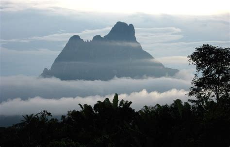 Pico da Neblina (2994 m): Der höchste Berg Brasiliens