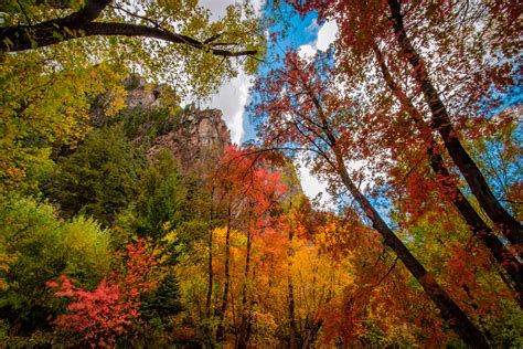Fall Color Images by Dave Koch Photography