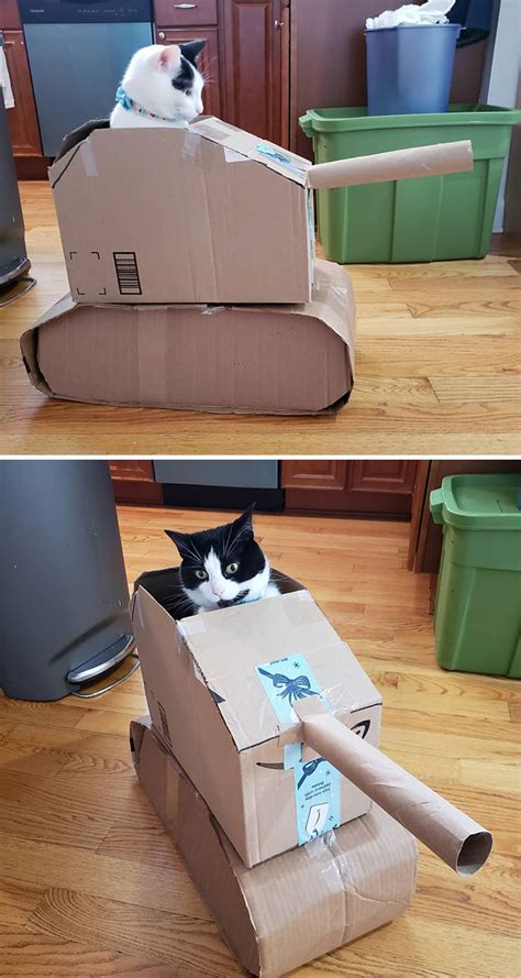 Super-Cute Cardboard Cat Tanks are a Thing, Apparently. A Quarantine Thing, That Is. (29 Best ...