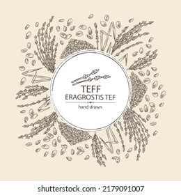 Background Teff Plant Leaves Teff Grains Stock Vector (Royalty Free ...