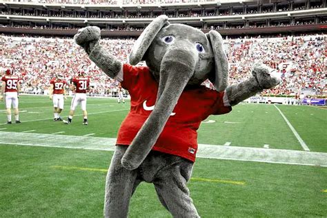 5 Things You Need to Know About Big Al at University of Alabama