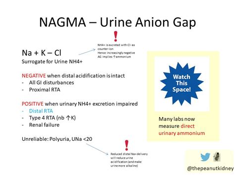 [NBME24] ... Sooo... do you include K+ or not when calculating anion gap?! : r/step1