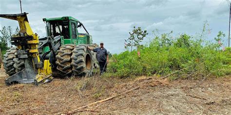 Logging crew protects turkey nest, observes hatch - Yellowhammer News