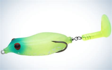 Best Topwater Lures For Bass of 2023 | Outdoor Life