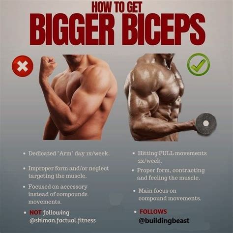 Best tips and strategies to get bigger and solid biceps. Arm Workout ...