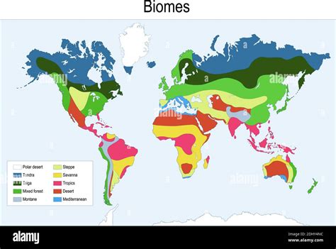 Map of mediterranean biome Cut Out Stock Images & Pictures - Alamy