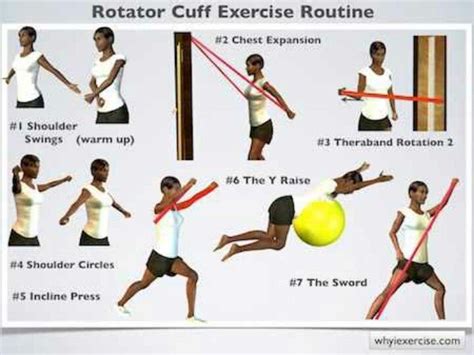 Rotator cuff exercises, Shoulder rehab exercises, Rotator cuff