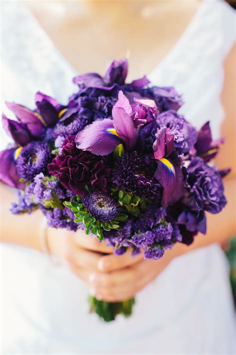 Beautiful Aster Flower Bouquet 20+