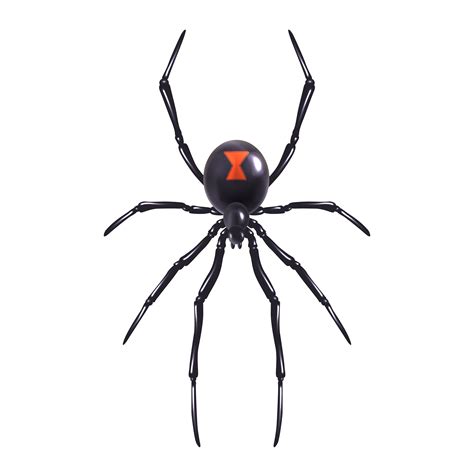 Facts On Black Widow Spider -{Part-1} — Steemit