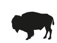 Bison Silhouette Clipart Free Stock Photo - Public Domain Pictures