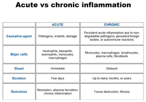 What is Chronic Inflammation, and Why Is It Killing Us?