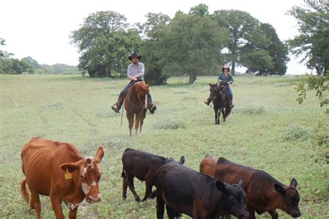 CLN Exclusive: Colter Wall - Cowboy Lifestyle Network