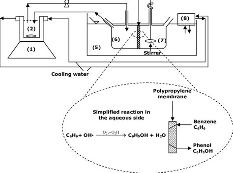 Scheme of the Photocatalytic Membrane Reactor (PMR): (1) magnetic ...