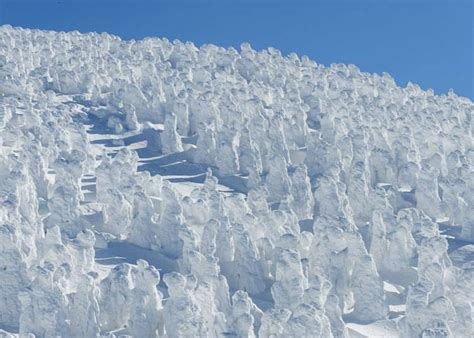 Relax, Take Some Pics, Have Fun! This Winter, Head to Tohoku For Snow And Hot Springs | LIVE ...