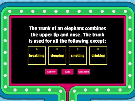 Elephant adaptations quiz - Gameshow quiz