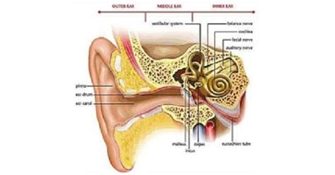 Audiometry - New