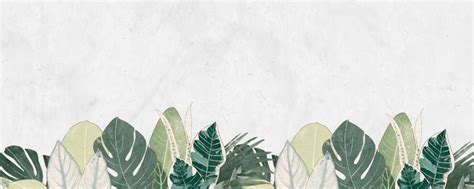 Twitch Profile Banner Botanical Nature Theme, Monstera Plant Twitch Background, Twitch Profile ...