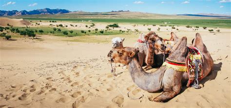 How to Find the Perfect Mongolia Tour on a Budget | Sidecar Photo