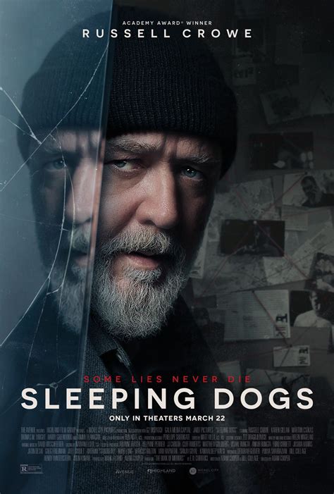 Sleeping Dogs Movie Poster Glossy Original Print Film Home Wall Art ...