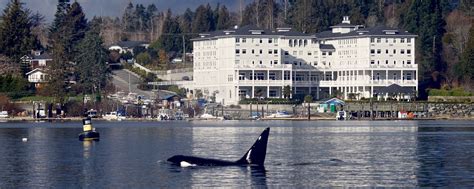 Overview | Prestige Oceanside Resort Sooke