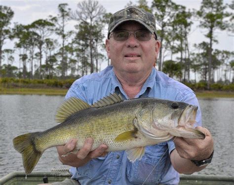 Outdoors: Florida bass fishing | Local Sports | gloucestertimes.com