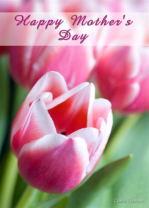 "Happy Mother's Day Tulips" by Claire Tennant | Redbubble