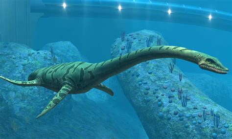 L'Elasmosaurus: le serpent de mer qui volait dans la mer | Dinosauress