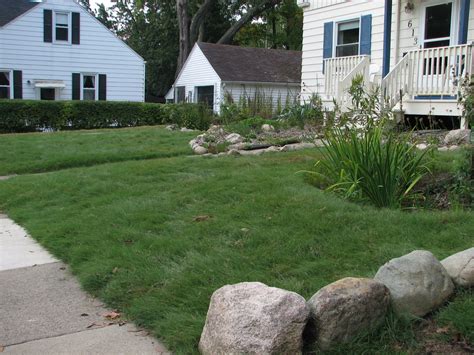 Grass Alternatives & Buffalo Grass in Ann Arbor | Creating Sustainable ...