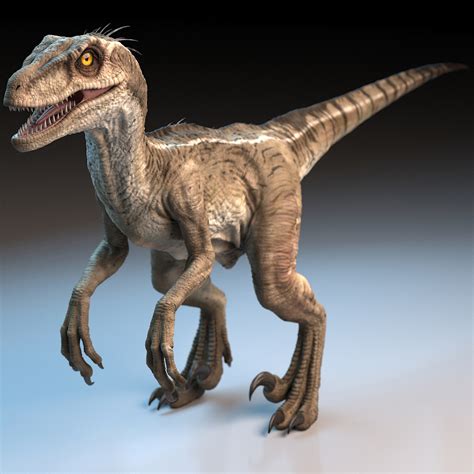 raptor dinosaur 3d model