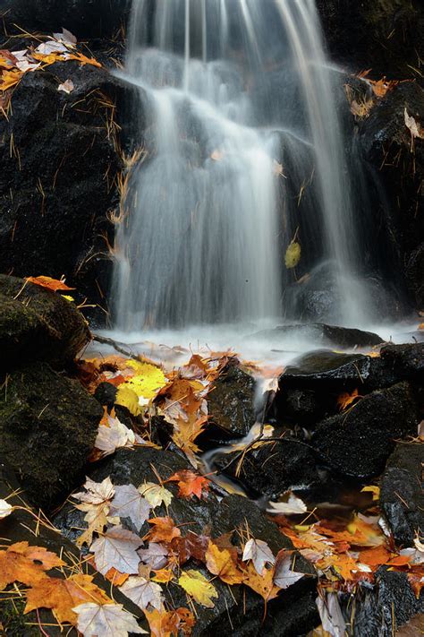 Maine Fall Colors 14 Photograph by Lynda Fowler - Fine Art America