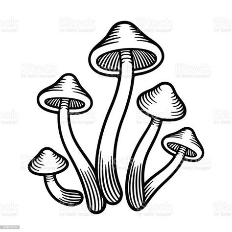 Mushrooms monochrome illustration Magic Psilocybe mushrooms black and white vector drawing ...