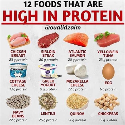 Famous High Protein Foods For Weight Gain In India PNG - storyofnialam