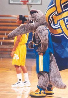 The Anteater (UCI Mascot)