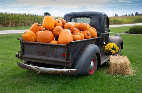 1,612 BEST Pumpkin Truck IMAGES, STOCK PHOTOS & VECTORS | Adobe Stock