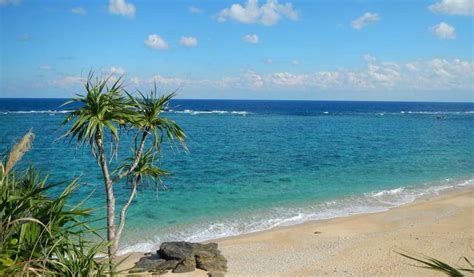 Amazing Okinawa Beaches to Hit This Summer, With and Without Crowds | Japan Cheapo