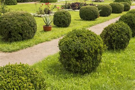 Garden with Shrubs Bush and Green Lawns, Landscape Design. Stock Photo ...