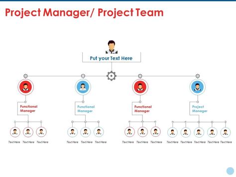 Project manager project team ppt summary example | Presentation ...