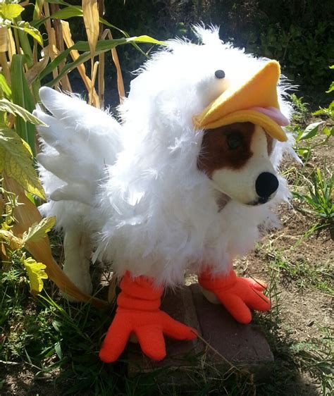 Crazy Chicken Costume for Dog Xsmall-medium by Cozy Pawz - Etsy