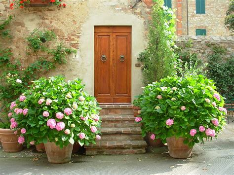 Royalty-Free photo: Brown wooden door beside plants with flowers during daytime | PickPik