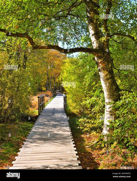 Nature park bavarian rhon hi-res stock photography and images - Alamy