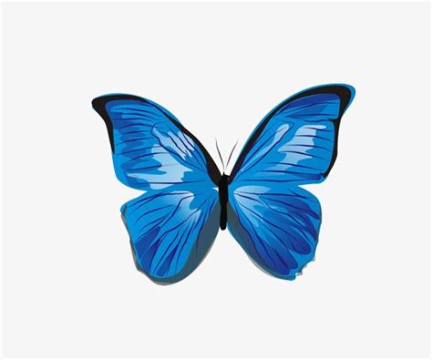 Blue Butterfly | Butterfly clip art, Blue butterfly, Butterfly pictures