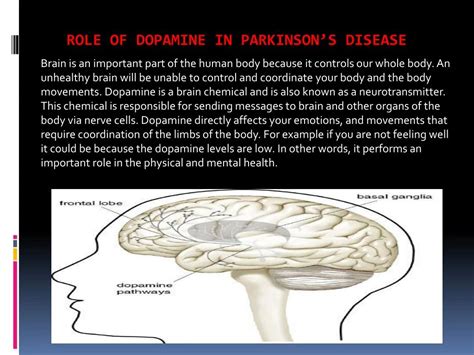 PPT - Role of Dopamine in Parkinsonâ€™s disease PowerPoint Presentation - ID:7943828