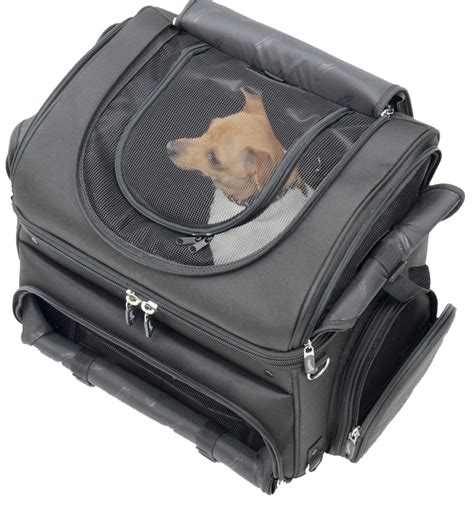 5 Best Motorcycle Dog Carrier Reviews (December 2024): Large & Small Pets