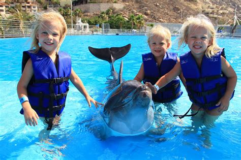 The Gidley Girls: Swimming with Dolphins