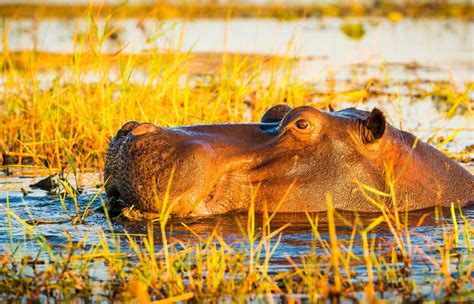 Guinea Bissau Tours 2024 | Private Trips & Small Groups