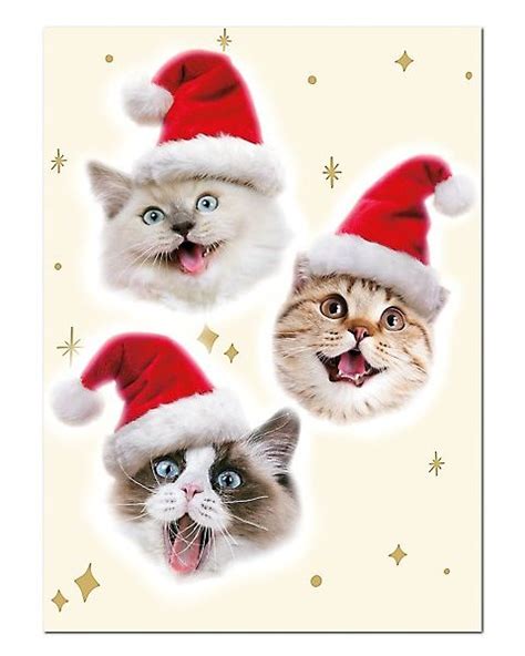 35 Funny Christmas Card Ideas to Send in 2023