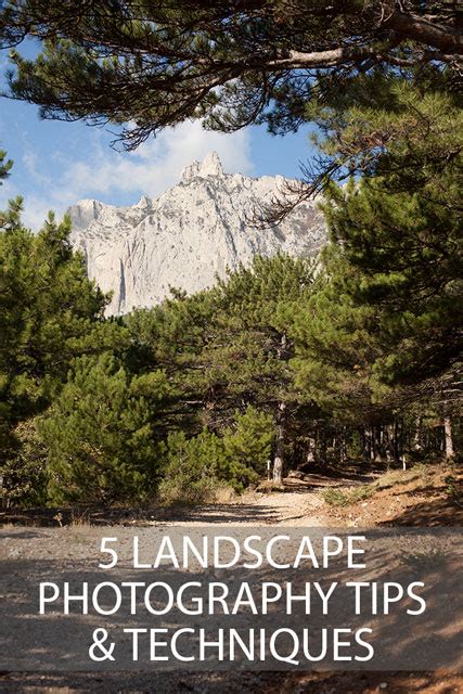 5 Landscape Photography Tips And Techniques | Discover Digital Photography