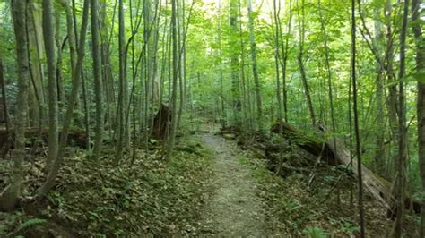 Best Hikes and Trails in Carter Caves State Resort Park | AllTrails