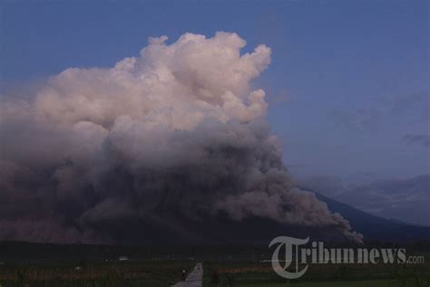 Gunung Semeru Erupsi, Foto 2 #1948552 - TribunNews.com